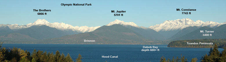 Olympic Mountain View
